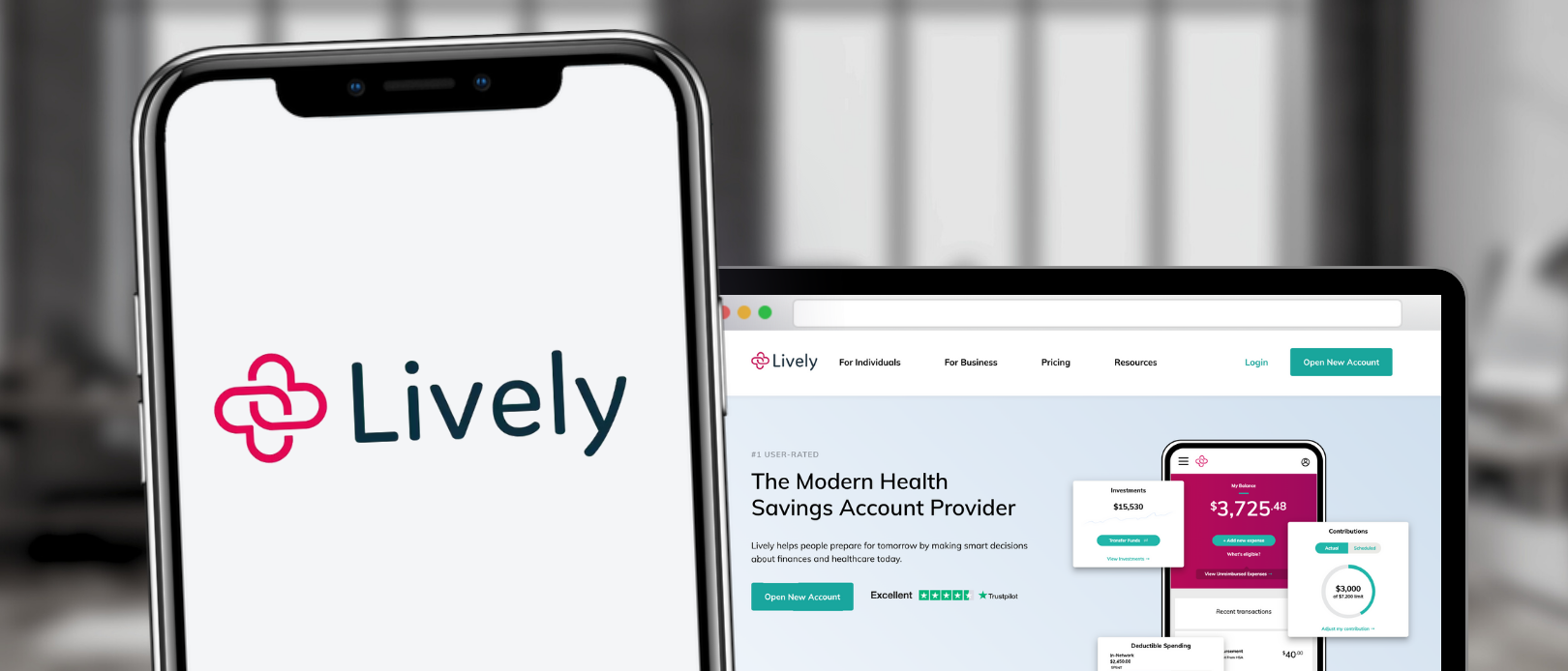 Lively: A Comprehensive Service Overview and Platform Guide